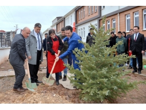 Özel Günde Özel Bir Etkinlik