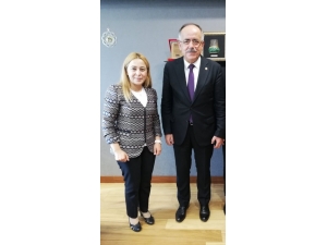 Mali Müşavirlere Yeşil Pasaport İçin Kanun Teklifi