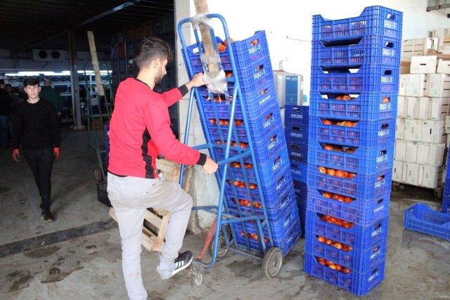 Antalya'dan Tanzim Satışa 4 Günde Bin 400 Ton Sebze Gönderildi