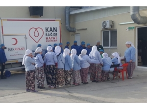 Bu İşletme Hem Ekonomiye Hem De Sağlığa Destek Veriyor