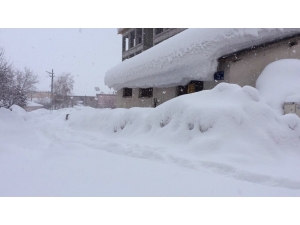Karlıova Bu Kış Adıyla Özdeşleşti
