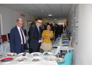 Domaniç’te Çinicilik Ve Filografi Sergisi