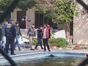 Marmaris’te Bir Domuz Havuza Düştü