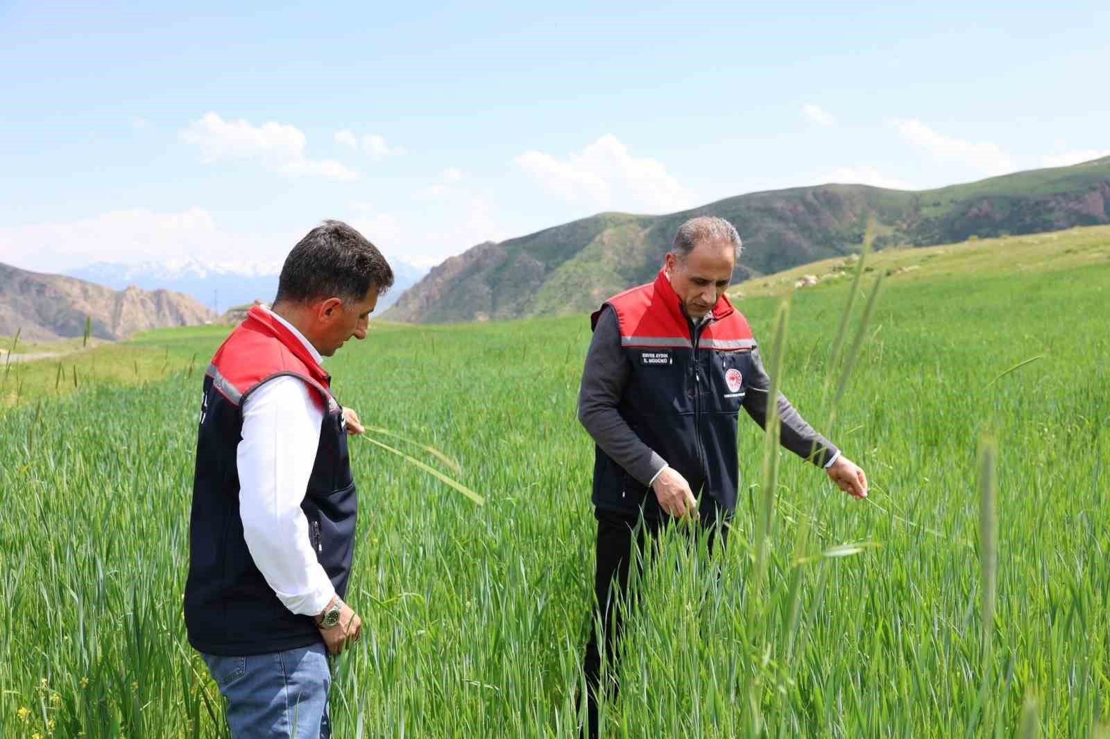 kars-ta-fenolojik-gozlem-calismalari-suruyor