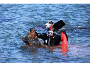 Denizden Çıkanlar Şok Etti