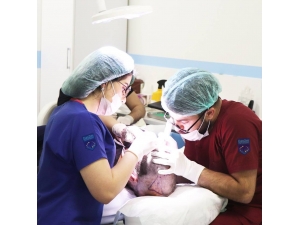 Türk Uzmanlarından Saç Ekiminde Çığır Açan Buluş