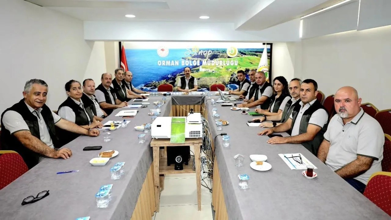 sinop-ta-surdurulebilir-ormancilik-calismalari