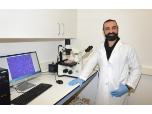 Kanserli Hücreler 3 Boyutlu Görüntülenebilecek