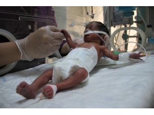 Onlar "El Bebeklerin" Ailesi