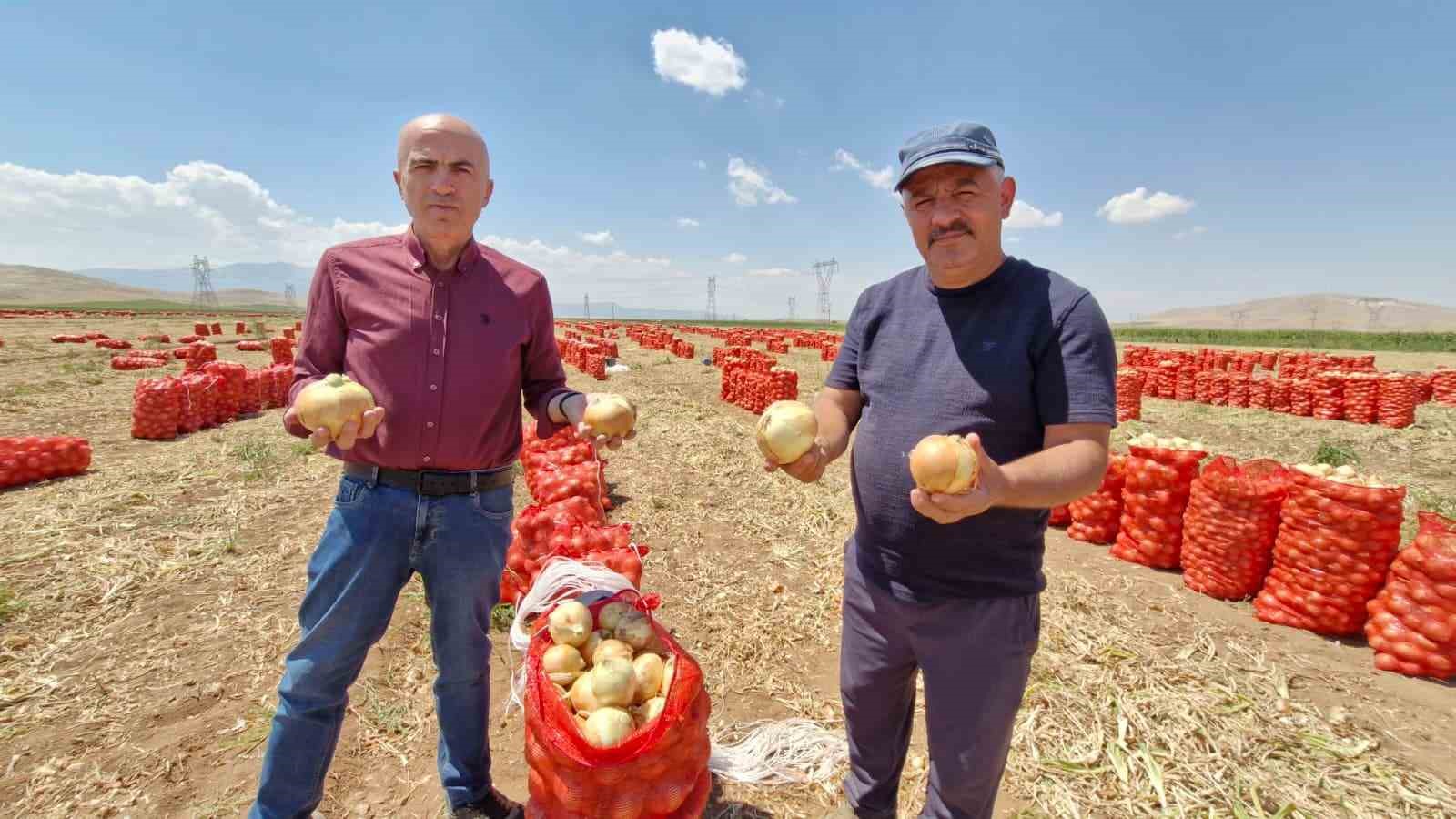 karaman-da-yazlik-sogan-ureticisinin-yuzunu-gulduruyor