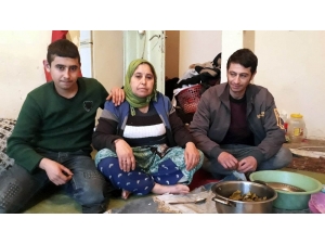 Kızıltepe’de 43 Yaşındaki Anne, Hurdacılık Yaparak Çocuklarına Bakıyor