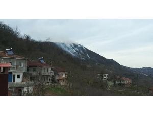 Karadeniz’de Orman Yangını Uyarısı