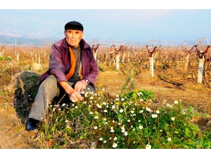 Sarıgöl’de Hava Sıcaklığı Yaz Aylarını Aratmadı