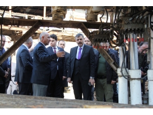 Dodurga’da 14 Milyon Ton Kömür Rezervi Bulunuyor