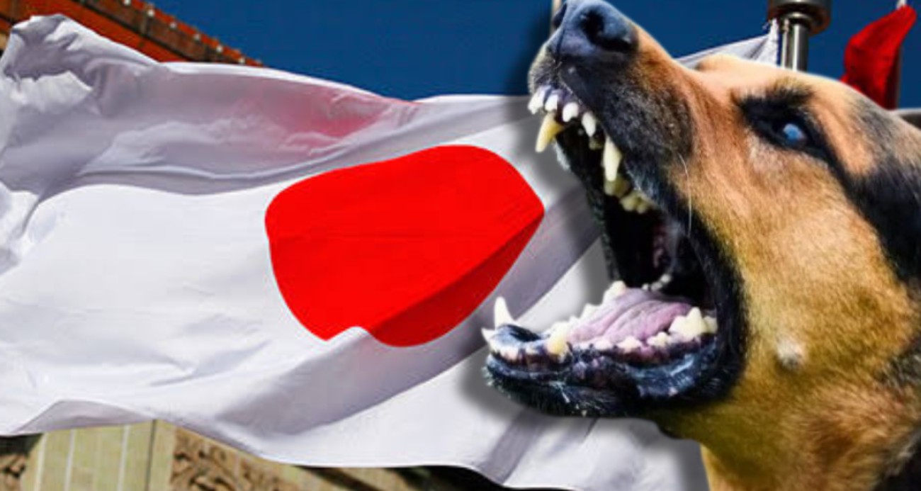 japonya-basibos-sokak-hayvani-sorununu-buyuk-olcude-kontrol-altina-aldi