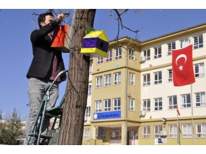 Kuşlar Üşümesin Diye Yuva Yaptılar