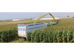 Antbirlik’ten Çiftçiye ’Satışı Garanti’ Hizmet