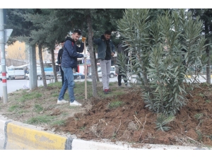Kozluk’taki Refüjlerde Bahar Çalışmaları Başladı