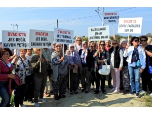 Ovacık Jeotermalde Aynı Şirkete Yeni Ruhsat