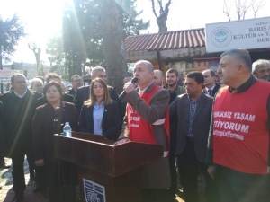 Danıştay Termik Santral Çed Kararını Bozdu