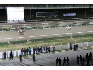 Haliliye Belediyesi Koşusunu ‘Delicihan’ Kazandı