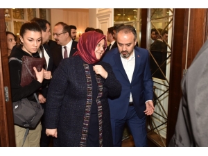 Dağ Yolu, Ekonomiyi Katlayacak