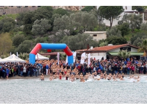 Kulaçlar Sokak Hayvanları İçin Atıldı