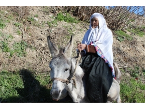 77 Yaşındaki Hamide Nine İle Eşeğinin Yarım Asırlık Dostluğu