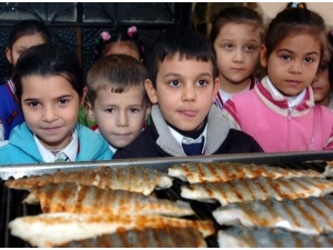 Balık Tüketimini Artırmak İçin Seferberlik İlan Edildi