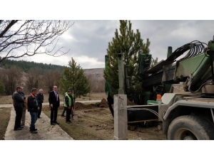 Çavdarhisar’da Ağaçlandırma Çalışmaları