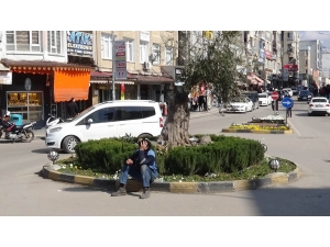Batı’da Kış, Kilis’te Bahar