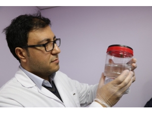 Alternatif Tıp Sülük Ve Ozon Tedavisine Yoğun İlgi