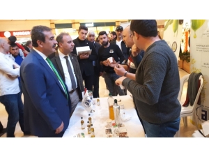 Adana’da Aydın Zeytinyağına Yoğun İlgi