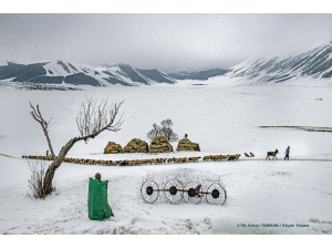 En İyi ‘Tarım’ Fotoğrafları