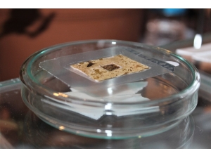 Yaraları 15 Dakikada İyileştiren ’Organik Yara Bandı’ Üretildi