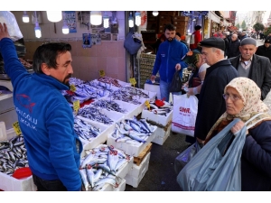 Balık Fiyatları El Yakıyor