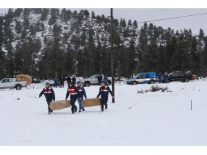 Jandarma’dan ‘Yılkı Atı’na Doğa Operasyonu