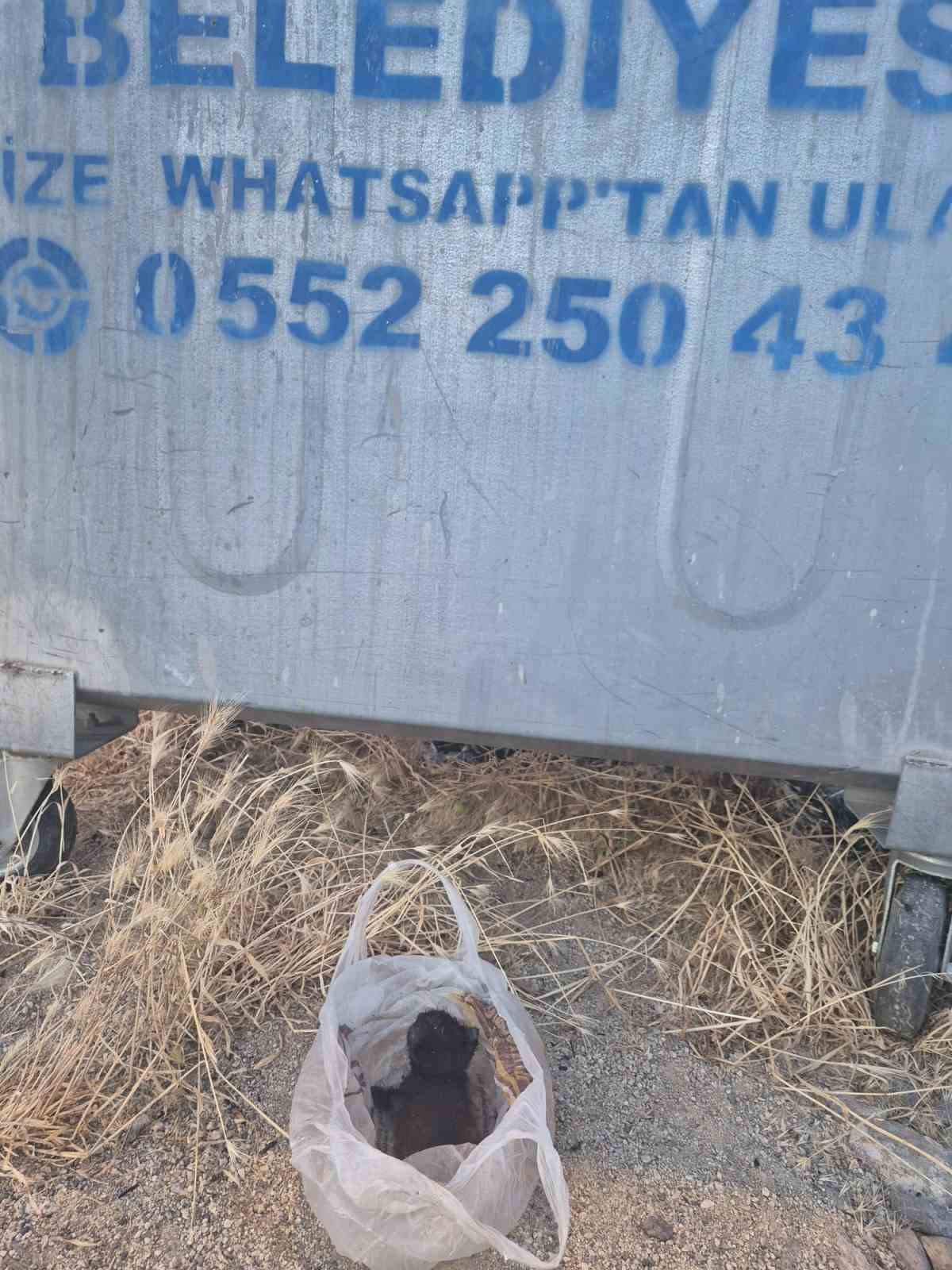 eskisehir-de-kan-donduran-olay-yavru-kedinin-agzini-bantlayip-posetle-cope-attilar