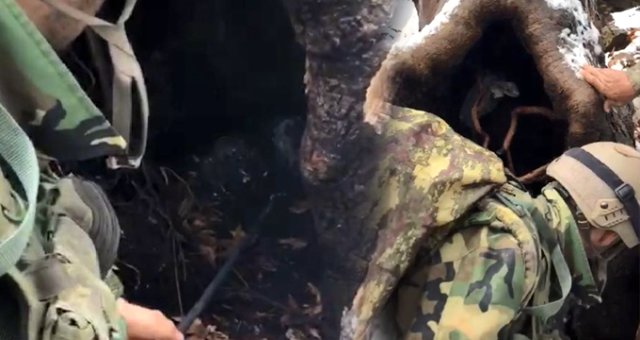 Pkk'lı Teröristler, Ağaç Kovuğunu Silah Ve Mühimmat Deposuna Dönüştürmüş