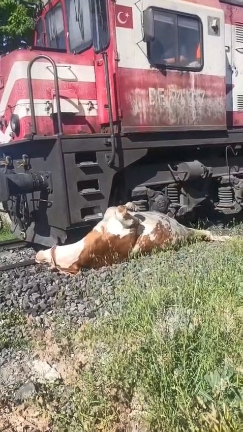 tren-carpmasi-sonucu-raylara-sikisan-inegin-telef-olmamasi-icin-saniyelerle-yaristilar
