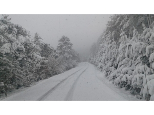 Taraklı’da Kar Kalınlığı 15 Santimetreye Kadar Ulaştı