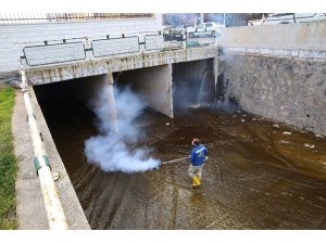 Haliliye Belediyesi Kışlak Mücadelesini Devam Ettiriyor