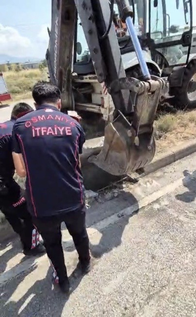 osmaniye-de-mazgala-dusen-yavru-kedi-itfaiye-ekiplerince-kurtarildi
