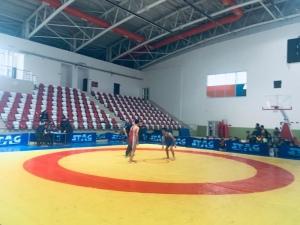 Vartolu Öğrenciler Minderde İl Birincisi Oldu