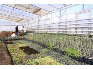 Üniversite De Tarımsal Uygulama Ve Araştırma Merkezinden Üretim Atağı