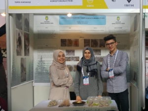 Yenice Anadolu Lisesi Öğrencileri, Ankara Bölge Birincisi Oldu