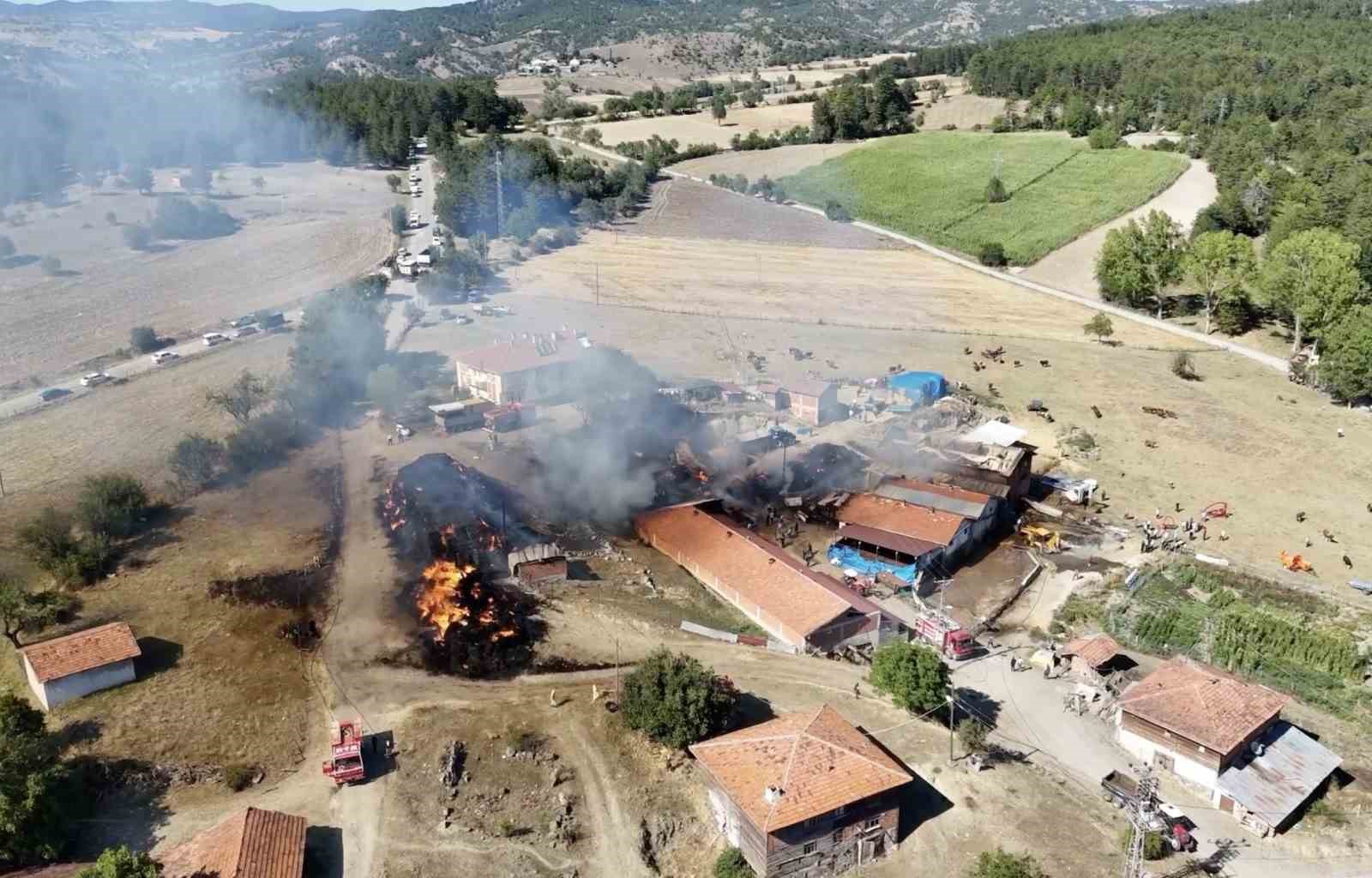 kastamonu-da-cikan-samanlik-yangini-ahirlara-sicradi-ilk-belirlemelere-gore-14-buyukbas-hayvan-telef-oldu