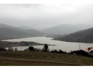 Afrin Barajı Yüzde 100 Doldu