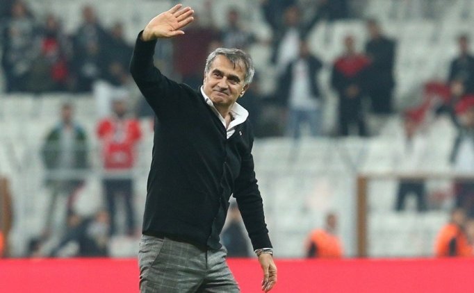 Şenol Güneş'ten Milli Takım Için Ilk Açıklama