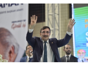 Ak Parti Genel Başkan Yardımcısı Cevdet Yılmaz Mardin’de